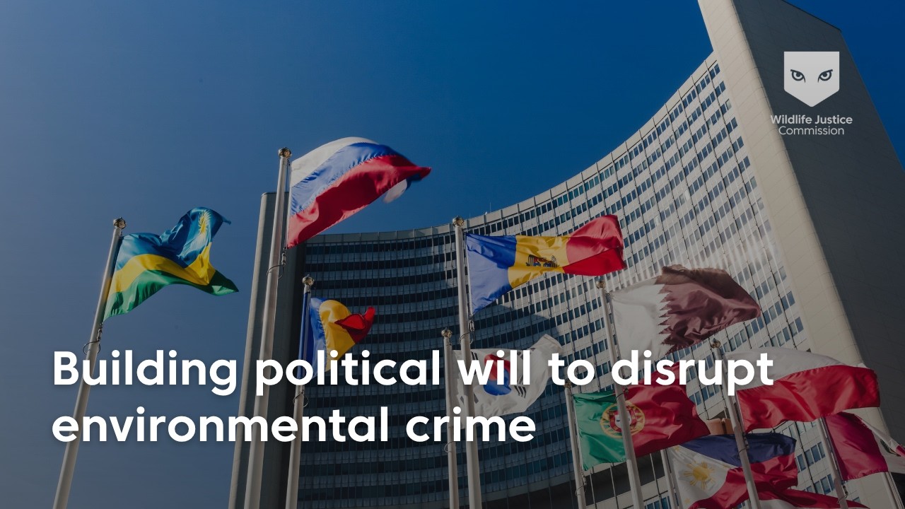 Building Political Will to Disrupt Environmental Crime | Wildlife Justice Commission