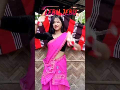 LEBU JEBU | OFFCIAL MUSIC VIDEO | BIO PEGU | RUPALI PAYENG| PINA PATIR | AMAR DOLEY #banikantapegu99