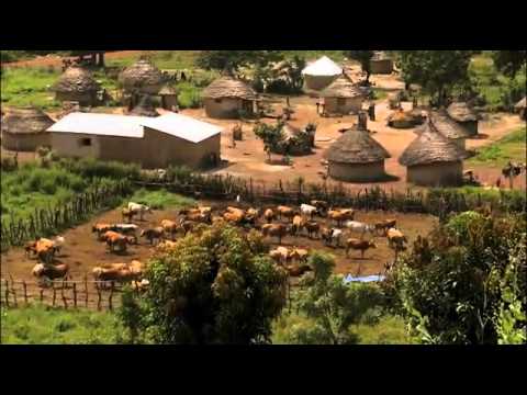 Livestock under threat: Managing the future of native West African ruminant livestock Video