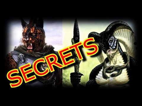 Skyrim Lore: Akavir Secrets!