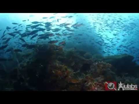 拉贾·安帕特（Raja Ampat） - 地球上的天堂