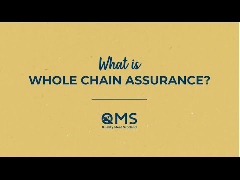 Whole Chain Assurance