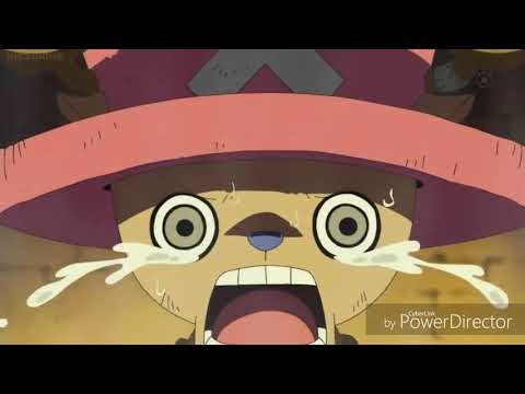 Chopper and the humans situation