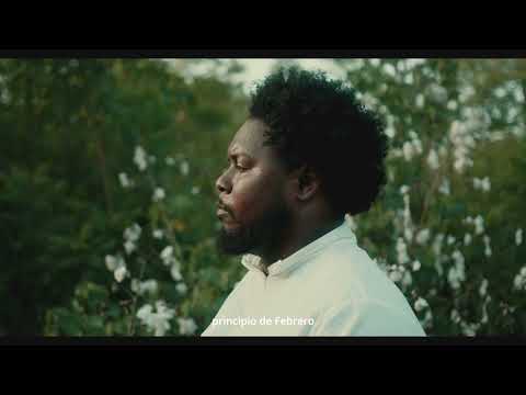 Carlito Codigo - La Cura (Visualizer) | H.V.A.C🏡