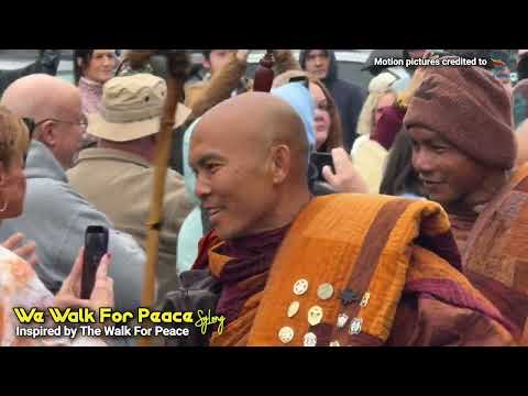 "We Walk For Peace" - (Original)