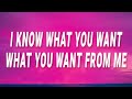 Ariana Grande I Know What You Want What You Want From Me Bloodline Lyrics