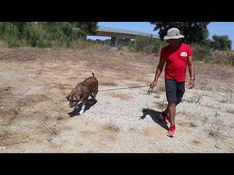 Vídeo de PAULO