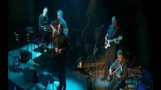 John Wright Band - River Run