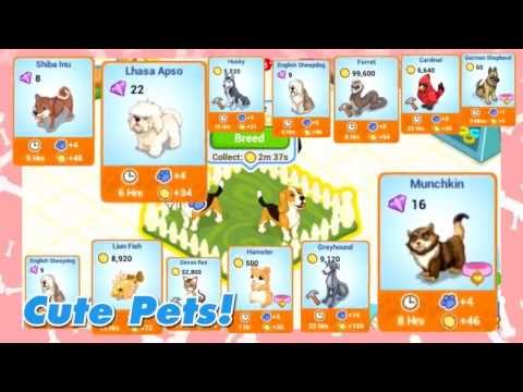 Pet Shop Story™ Video