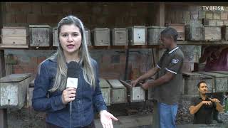 Miniatura do vídeo