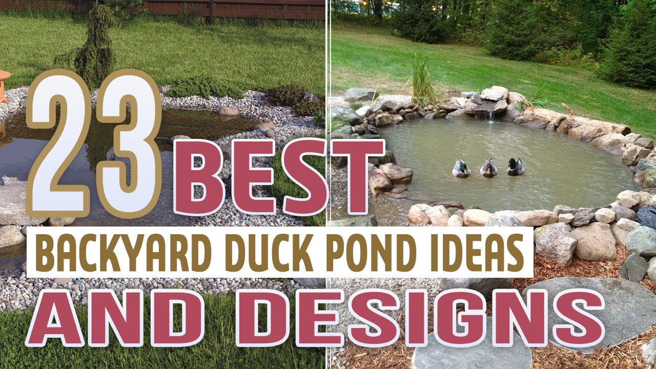 23 Best Backyard Duck Pond Ideas and Designs