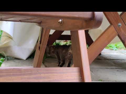 Nubia RedMagic 6R camera test (4K, 60 fps)