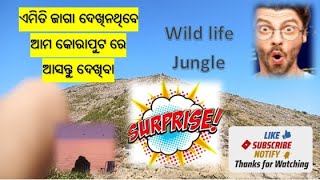 କୋରାପୁଟିଆ vlog ୨୦୨୫ ll Koraput Travel Vlog l ଦୁଡୁମା ଜଳ ପ୍ରପାତ