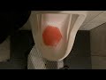 3 503 Bistro 19 Men S Restroom