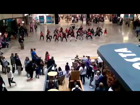 Stanground Academy Flash Mob 2015