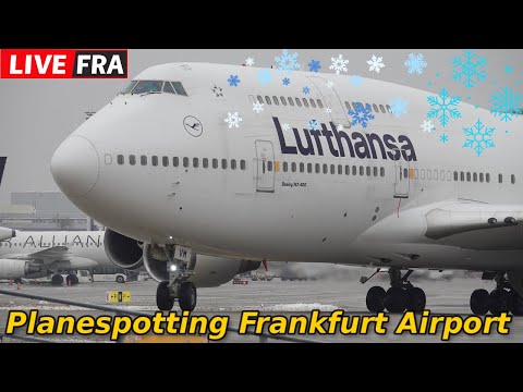 🔴Live Donnerstag Planespotting Frankfurt Airport 🌨️Snow & Deicing in FRA❄️🛫