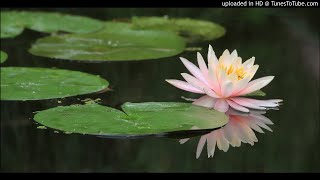 Diana Krall - I Remember You