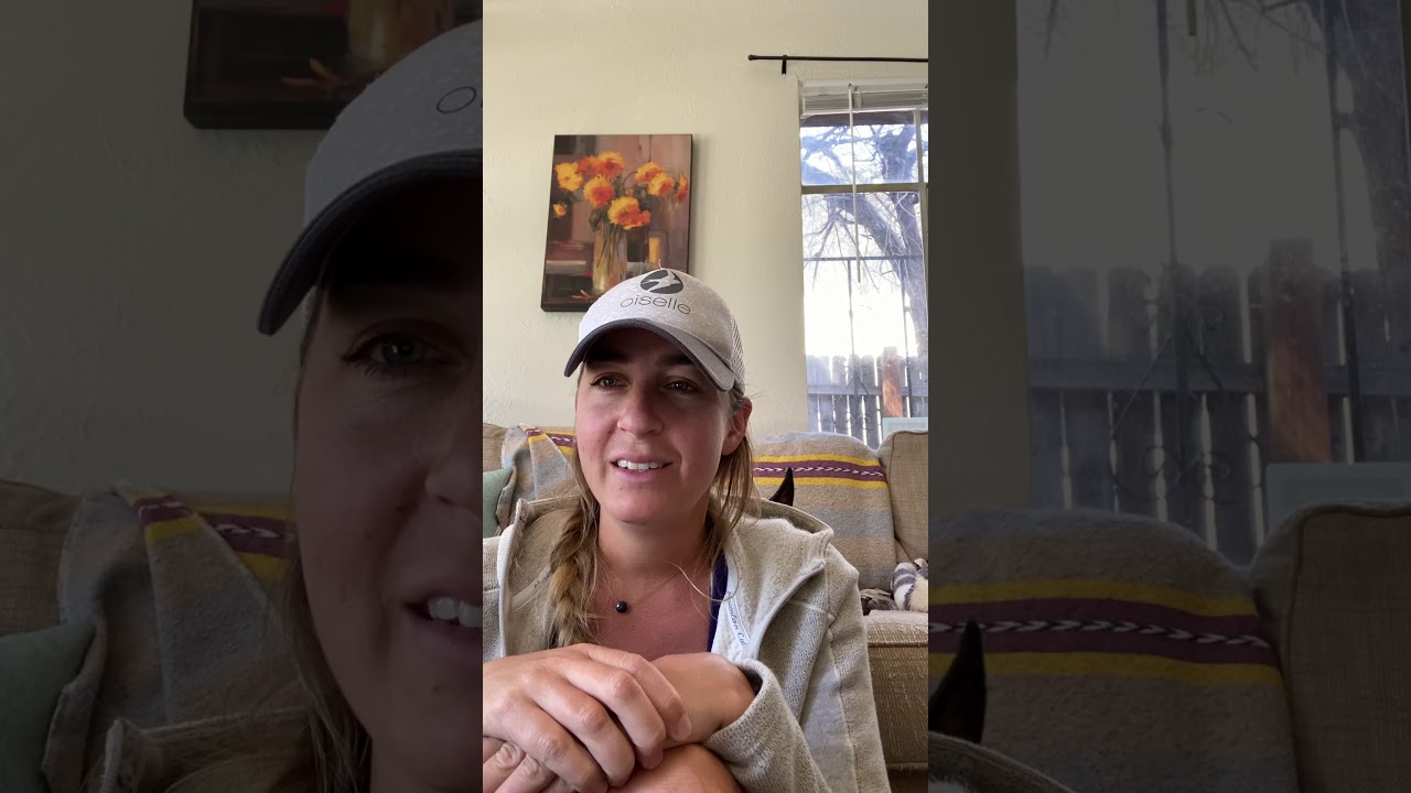 Charlotte’s web, Chapters 10 & 11 worksheets