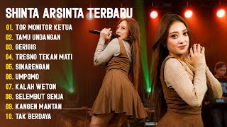 Download lagu DANGDUT KOPLO VIRAL | TOR MONITOR - TAMU UNDANGAN | SHINTA ARSINTA FULL ALBUM DANGDUT TERBARU mp3