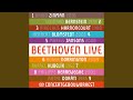 Symphony No. 2 in D Major, Op. 36: II. Larghetto
