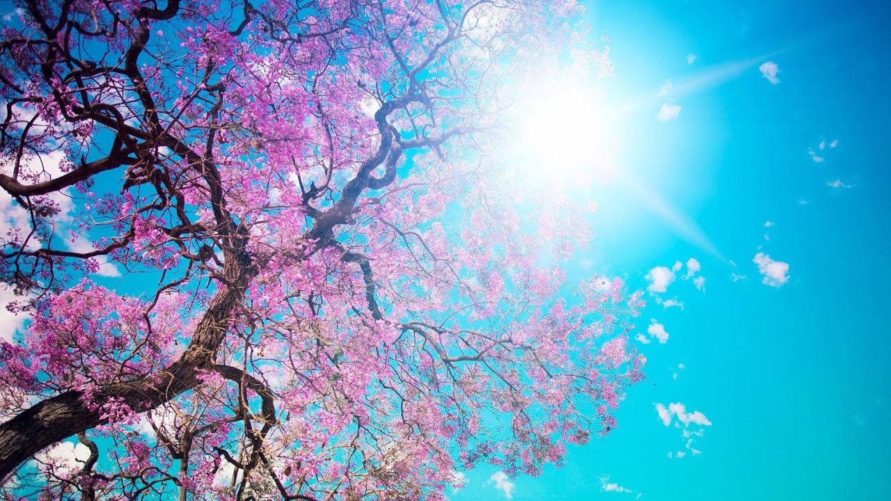 Latin Vocabulary: Weather Expressions