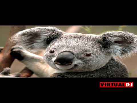 dj reison electro sax to me original mix