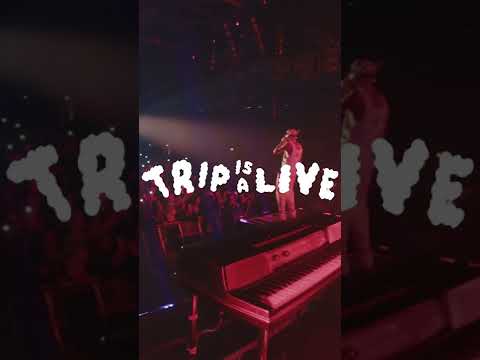 TRIP IS ALIVE – TOURDIARY – Episode 4 – Dortmund #shorts