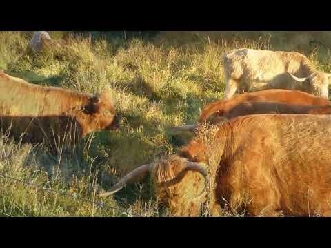 #1 Go West Gangelt Teverener Heide Freizeitpark