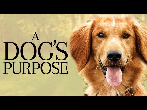 A Dog's Purpose 2017 Movie | Dennis Quaid, Josh Gad, KJ Apa | A Dog's Purpose Movie Full Review