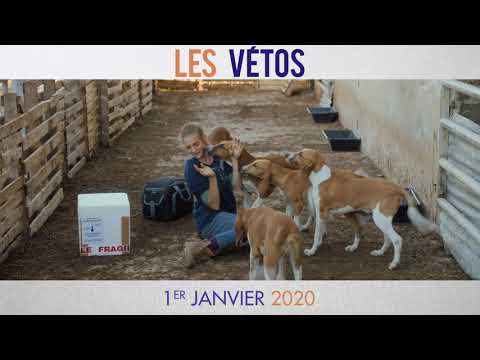 Les Vétos - Spot [VF]