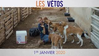 Les Vétos - Spot [VF]