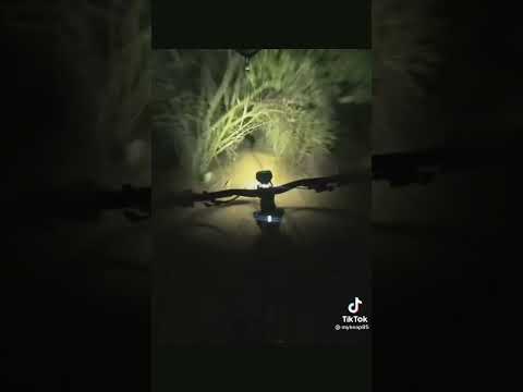 Videos raros que encuentro en Internet