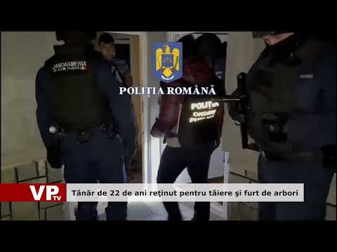 Tânăr de 22 de ani reţinut pentru tăiere şi furt de arbori