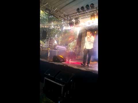 Anime Dreams 2014 Ayumi Miyazaki