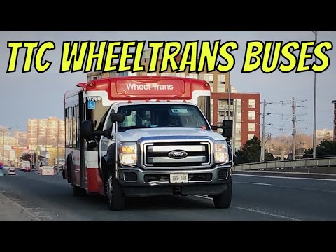 TTC WheelTrans Buses (Spring 2021)