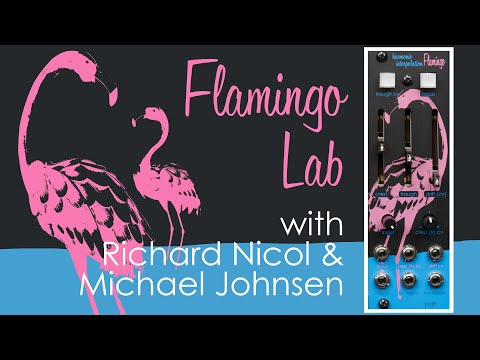 Pittsburgh Modular Flamingo Safari Series - RARE, only 200 made image 5