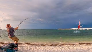 1 Hour Of Catching GIANT Fish From Land, But They Keep Getting BIGGER!