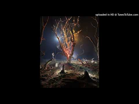 FENDIGLOCK x AUGUST x 4N WAY TYPE BEAT - "SIPP" (prod.by coldculich