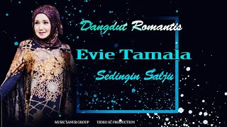 Download lagu Evi tamala ( sedingin salju ) mp3