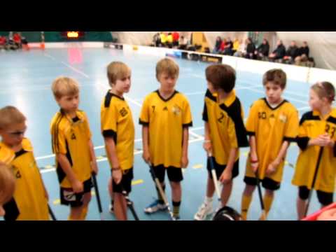 Vosy Praha - pokřik před zápasem