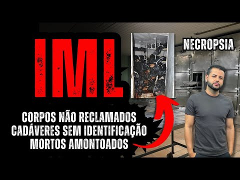 Vídeo