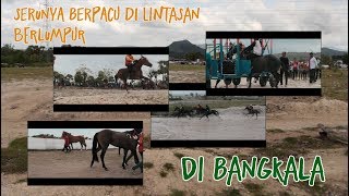 preview picture of video 'TRAVEL : Serunya Berpacu Kuda di Lintasan Berlumpur Ala Jeneponto'
