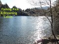 Video Thumbnail for Fishing Rice & Browning Lakes