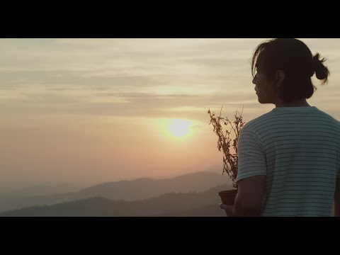 quyếch | to the many years | official mv