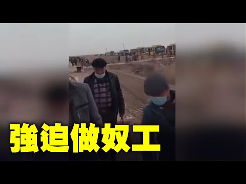 中共將新疆維吾爾人關進再教育集中營，並强迫集中營的人員做奴工。| #大紀元新聞網