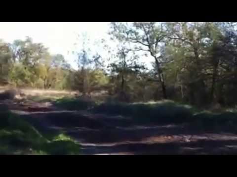 Yamha JK Luca Mattolini