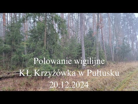 Christmas Eve Hunt 20/12/2025. Musical surprise.