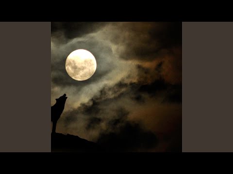 To The Moon (feat. Bando Ptz & Say Drilly)