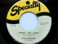 Little Richard..Slippin' and Slidin' (Peepin' and Hidin')