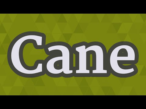 CANE pronunciation • How to pronounce CANE